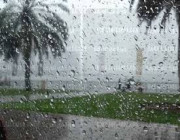 أمطار رعدية بعدة مناطق في طقس اليوم .. التفاصيل هنا !!