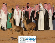 محمد بن سلمان يطلق محمية شرعان الطبيعية في محافظة العلا ” صور “