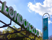 حديقة الحيوان في لندن تجمع تبرعات لحماية الحيوانات بعد إغلاقها بسبب “كورونا”
