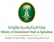 وزارة البيئة والمياه والزراعة تدعو (281) متقدماً ومتقدمة على وظائفها للمقابلة الشخصية