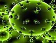 تسجيل 546 إصابة جديدة بفيروس “كورونا” .. التفاصيل هنا !!