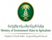 وزارة الزراعة تُوضح موعد تطبيق ضوابط وشروط استيراد الخضروات والفواكه