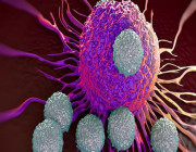 علماء يتوصلون لعلاج جديد للخلايا السرطانية