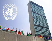 “الأمم المتحدة” تشيد بجهود “البيئة” في إعادة تأهيل الغطاء النباتي