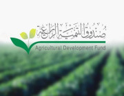 صندوق التنمية الزراعية يعتمد تعديلات لائحة الائتمان