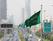 رسميًا.. السعودية تمنع دخول الخضراوات والفواكه اللبنانية وعبورها أراضي المملكة