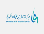 هيئة تنظيم الكهرباء «تحذر» من عمليات احتيال مالية