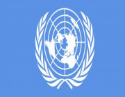 الأمم المتحدة تدعو مجلس الأمن لتحمل مسؤولياته بشأن قضية فلسطين .. التفاصيل هنا !!