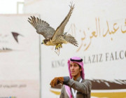انطلاق مهرجان الملك عبدالعزيز للصقور 2021 .. التفاصيل هنا !!