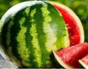 تعرف على فوائد البطيخ فى الصيف .. التفاصيل هنا !!