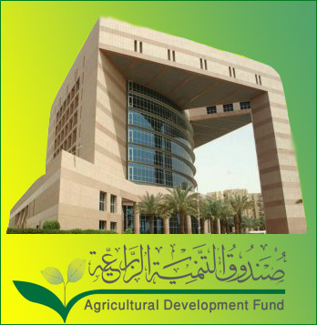 صندوق التنمية الزراعية يؤجل سداد الأقساط لمدة 6 ‏أشهر
