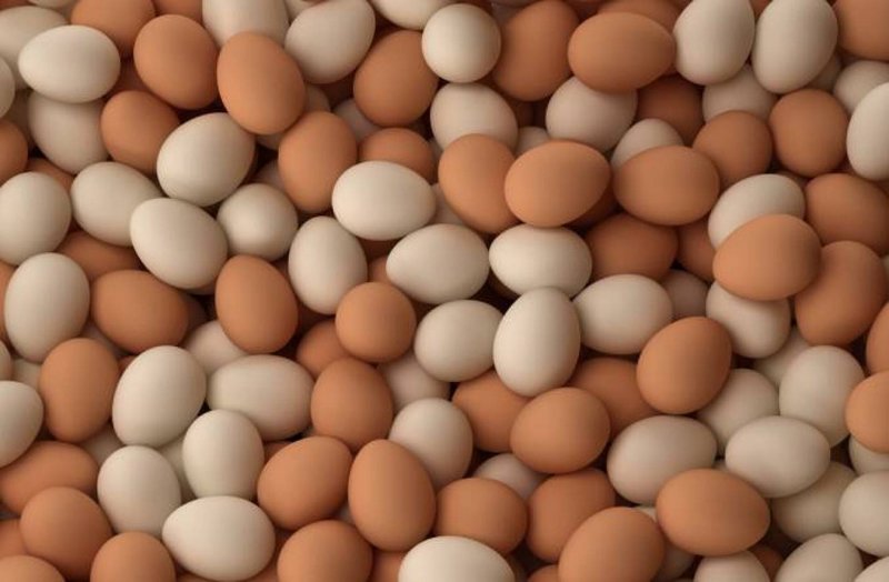 بعد انتشار فديو تزاحم على شراء البيض ضبطت الشرطة التفتشيه مجموع من التجار  تحتكر كميات كبيره من البيض