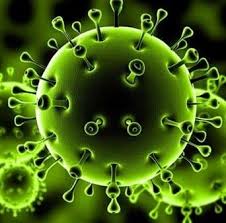 “بيونغ يانغ” تدعو إلى إجراءات أكثر صرامة لمكافحة فيروس “كورونا”