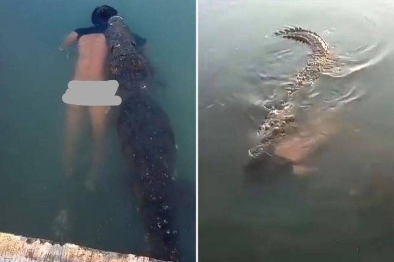 المكسيك: ”تمساح ضخم” يسحب جثة رجل في بحيرة يسبب الذعر